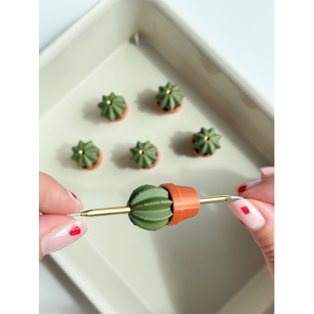 Sukulent - Magnetyczne Zakrętki do Żyłek