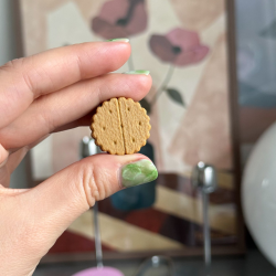 Biscuit - Sopt Mailles Magnétique